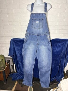 Wallflower Light Blue Denim Relaxed Overalls